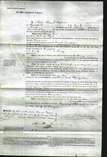 Court of Common Pleas - Mary Ann Boyle-Original Ancestry