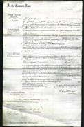 Court of Common Pleas - Marianne Janetta Thompson-Original Ancestry