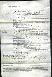 Court of Common Pleas - Mary Ann Boyle-Original Ancestry