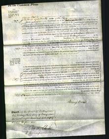 Court of Common Pleas - Susanna Wright Cullen and Caroline Bridget Webster-Original Ancestry