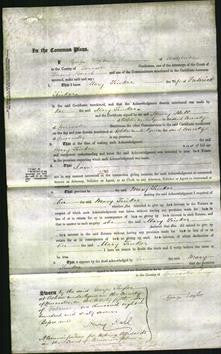 Court of Common Pleas - Mary Tinker-Original Ancestry