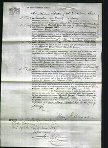 Court of Common Pleas - Elizabeth George, Sarah Elizabeth Green and Eleanor Ellis-Original Ancestry