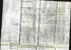 Court of Common Pleas - Hannah Isabella Rigg-Original Ancestry
