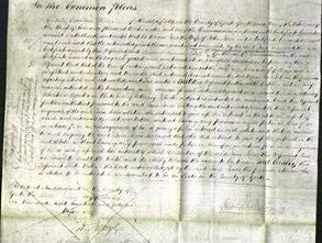 Court of Common Pleas - Jane Jones-Original Ancestry