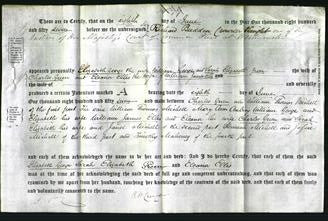 Deed by Married Women - Elizabeth George, Sarah Elizabeth Green and Eleanor Ellis-Original Ancestry