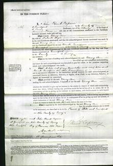Court of Common Pleas - Mary Ann Boyle-Original Ancestry