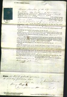 Court of Common Pleas - Rosana Little-Original Ancestry