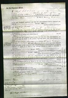 Court of Common Pleas - Ellen Goodwin-Original Ancestry