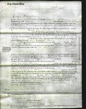 Court of Common Pleas - Ann Elizabeth Thomas-Original Ancestry