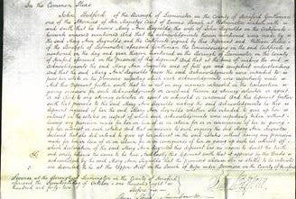 Court of Common Pleas - Mary Ann Reynolds-Original Ancestry