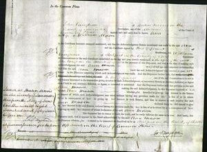 Court of Common Pleas - Ann Mason-Original Ancestry