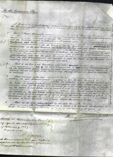 Court of Common Pleas - Hannah Parker-Original Ancestry