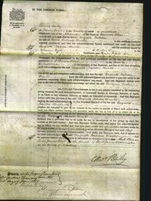 Court of Common Pleas - Augusta Isabella Christie-Original Ancestry