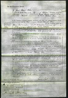 Court of Common Pleas - Harriet Tien-Original Ancestry