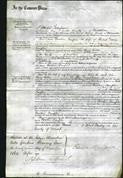 Court of Common Pleas - Caroline Templer Davies-Original Ancestry
