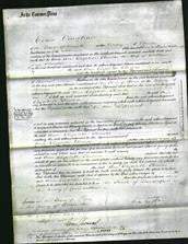Court of Common Pleas - Ann Elizabeth Thomas-Original Ancestry