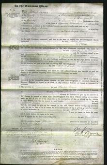 Court of Common Pleas - Sarah Jane Piercy-Original Ancestry