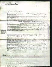 Court of Common Pleas - Ann Elizabeth Thomas-Original Ancestry