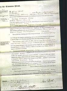 Court of Common Pleas - Matilda Mary Sharples-Original Ancestry