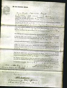 Court of Common Pleas - Mary Fenton-Original Ancestry