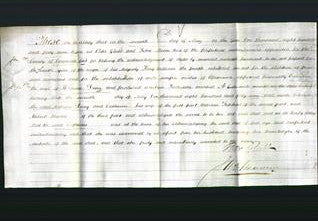 Deed by Married Women - Catherine Doney-Original Ancestry