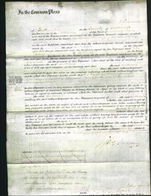 Court of Common Pleas - Catherine Doney-Original Ancestry