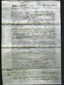 Court of Common Pleas - Emmeline Mary Buchanan Cole-Original Ancestry