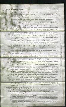 Court of Common Pleas - Louisa Halliday-Original Ancestry