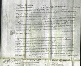 Court of Common Pleas - Eliza Bird-Original Ancestry