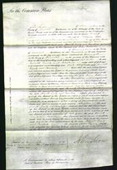 Court of Common Pleas - Harriett Potts and Emily Auster-Original Ancestry