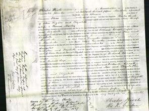 Court of Common Pleas - Ann Higson and Elizabeth Marley-Original Ancestry