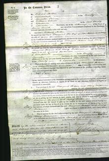 Court of Common Pleas - Margaret Hodson, Mary Wilkinson-Original Ancestry