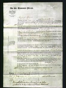 Court of Common Pleas - Fanny Walker-Original Ancestry