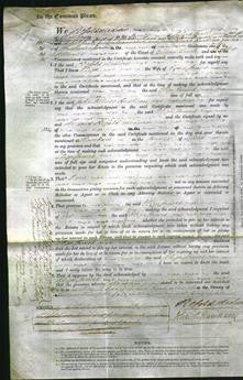 Court of Common Pleas - Eliza James-Original Ancestry