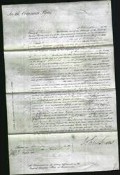 Court of Common Pleas - Harriett Potts, Emily Auster and Caroline Churton-Original Ancestry