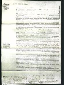 Court of Common Pleas - Ann Cundict-Original Ancestry