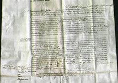 Court of Common Pleas - Hannah Isabella Rigg-Original Ancestry