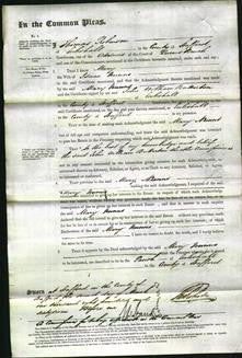Court of Common Pleas - Mary Nunns-Original Ancestry