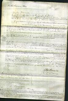 Court of Common Pleas -Caroline Evans-Original Ancestry