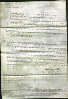 Court of Common Pleas -Caroline Evans-Original Ancestry