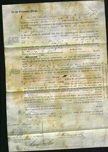 Court of Common Pleas - Ellen Nettleton-Original Ancestry