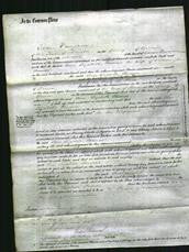 Court of Common Pleas - Ann Elizabeth Thomas-Original Ancestry