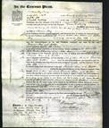Court of Common Pleas - Frances Tinkler, Ann Watson, Esther May-Original Ancestry