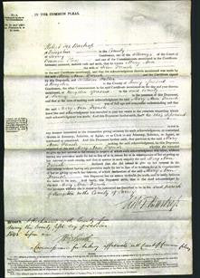 Court of Common Pleas -Mary Ann French-Original Ancestry