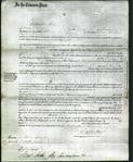 Court of Common Pleas - Harriet Allen-Original Ancestry