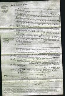 Court of Common Pleas - Margaret Hodson, Mary Wilkinson-Original Ancestry