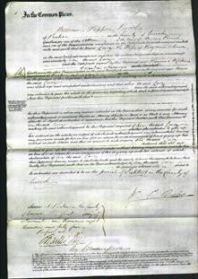 Court of Common Pleas - Lucy Johnson-Original Ancestry