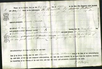 Deed by Married Women - Amelia Charlotte Dollman-Original Ancestry