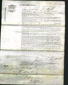 Court of Common Pleas - Amelia Charlotte Dollman-Original Ancestry