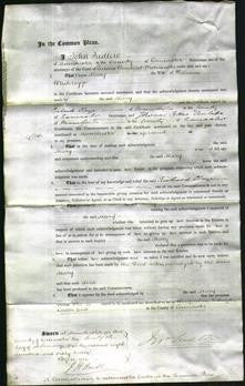 Court of Common Pleas - Mary Whitelegge-Original Ancestry